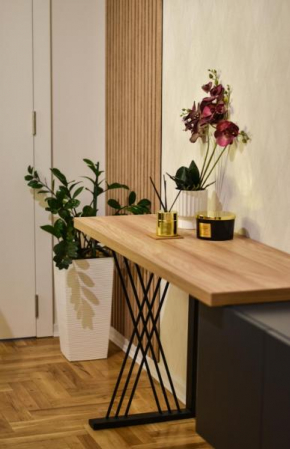 Apartman Vasilisa